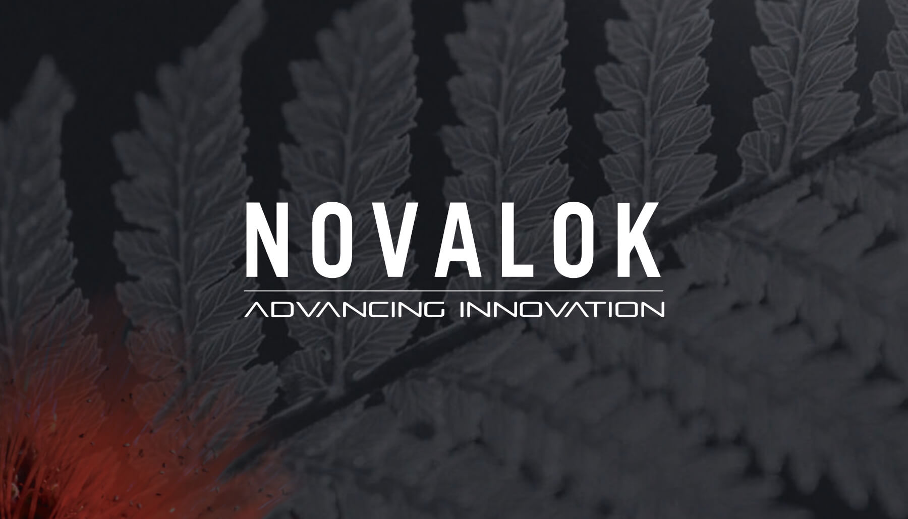 Novalok logo